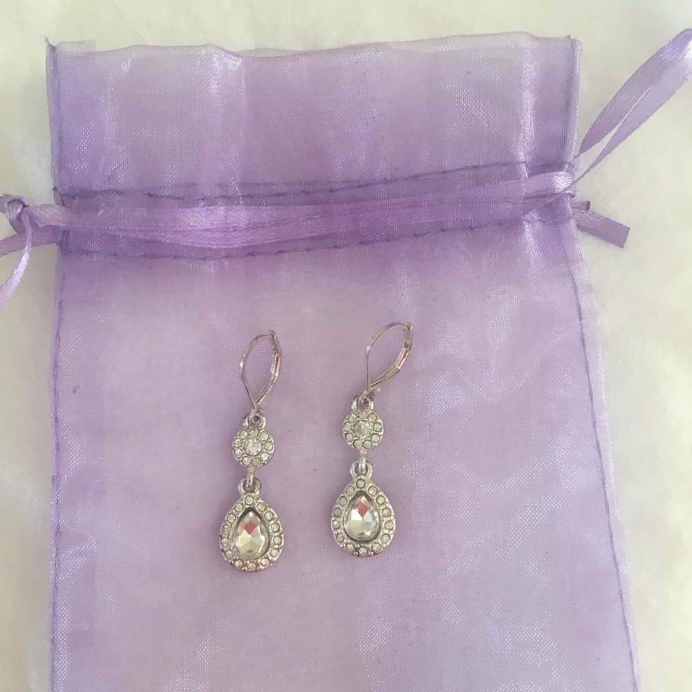 Silver Drop Earrings